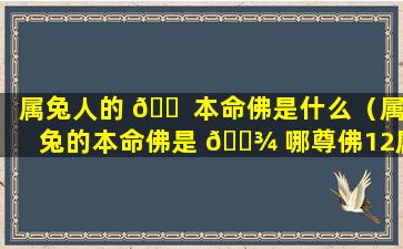 属兔人的 🐠 本命佛是什么（属兔的本命佛是 🌾 哪尊佛12属相本命佛）